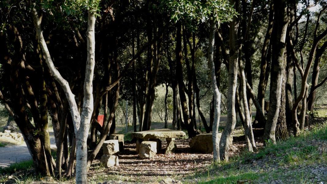 Camping Le Soline Casciano Di Murlo Eksteriør bilde