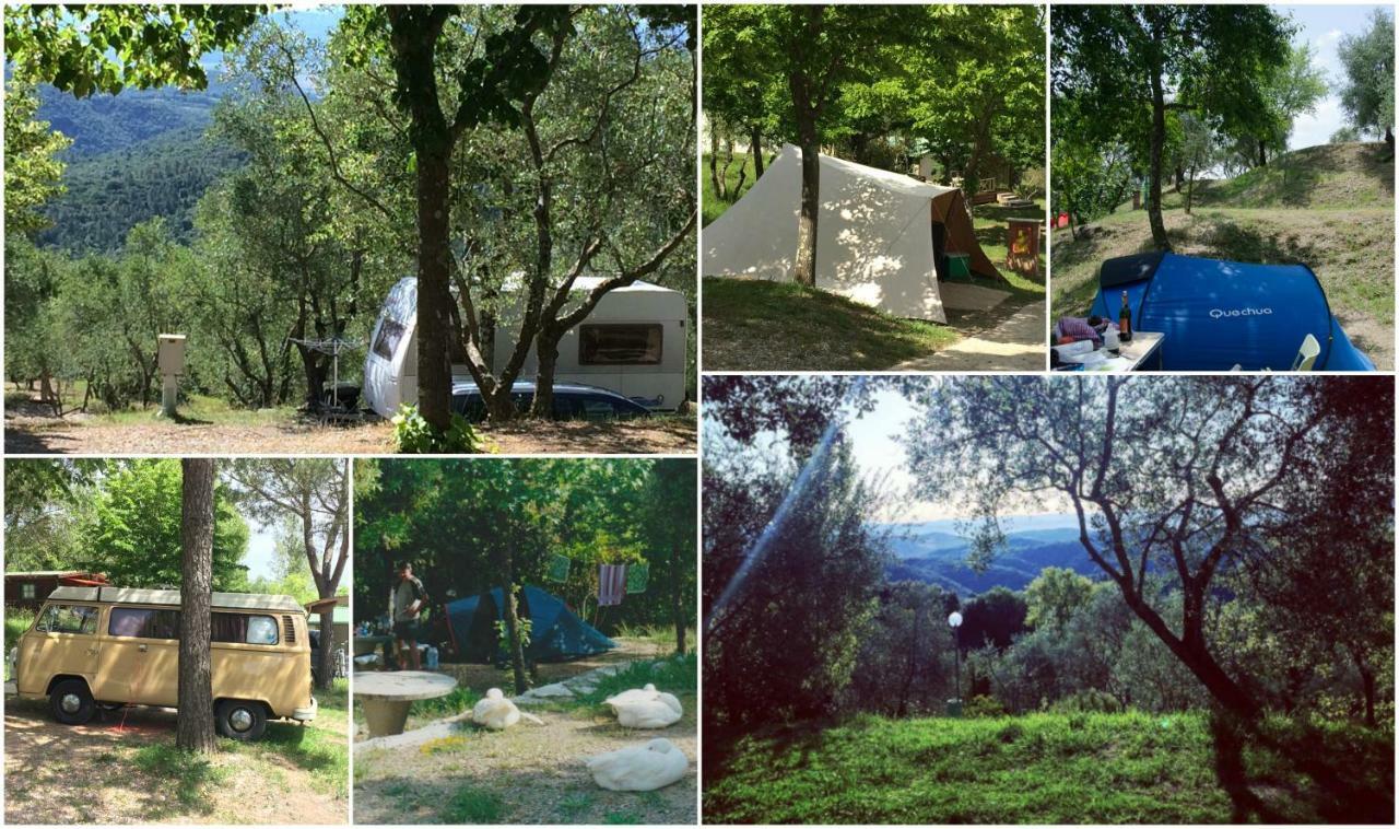 Camping Le Soline Casciano Di Murlo Eksteriør bilde